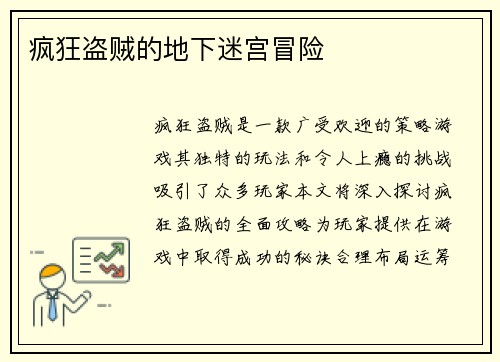 疯狂盗贼的地下迷宫冒险